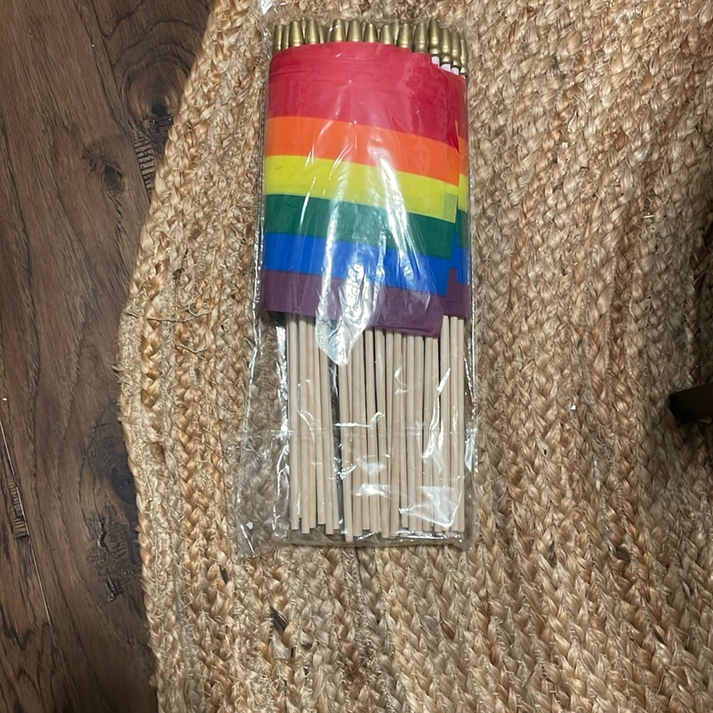 Rainbow Flags-1 pack of 50 flags